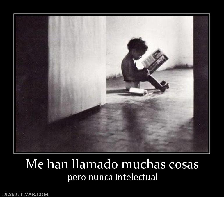 Me han llamado muchas cosas pero nunca intelectual