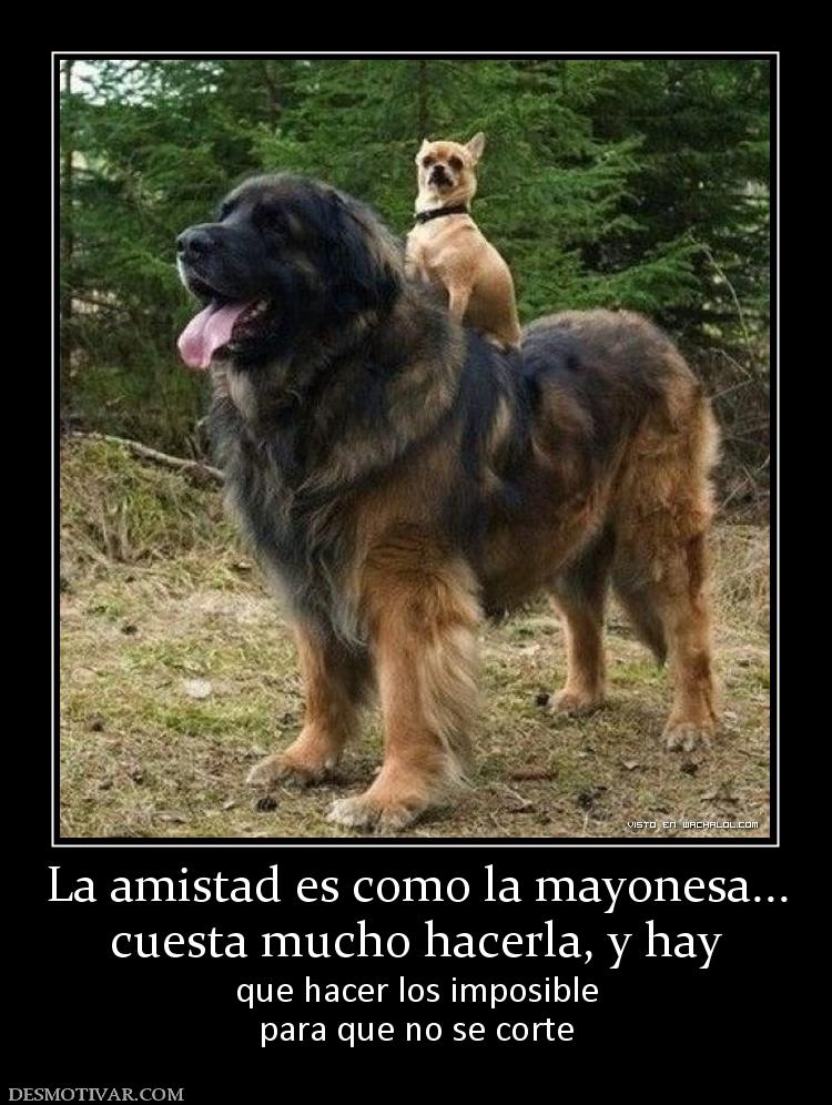 La amistad es como la mayonesa... cuesta mucho hacerla, y hay que hacer los imposible para que no se corte