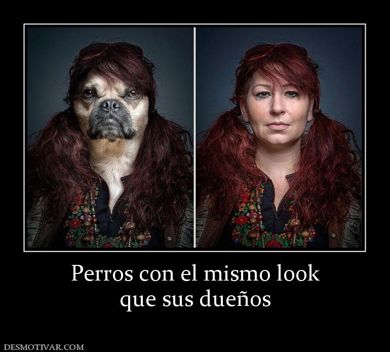 Perros con el mismo look que sus dueños