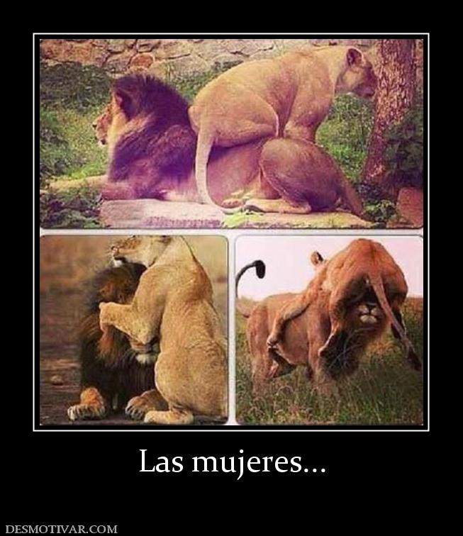 Las mujeres...