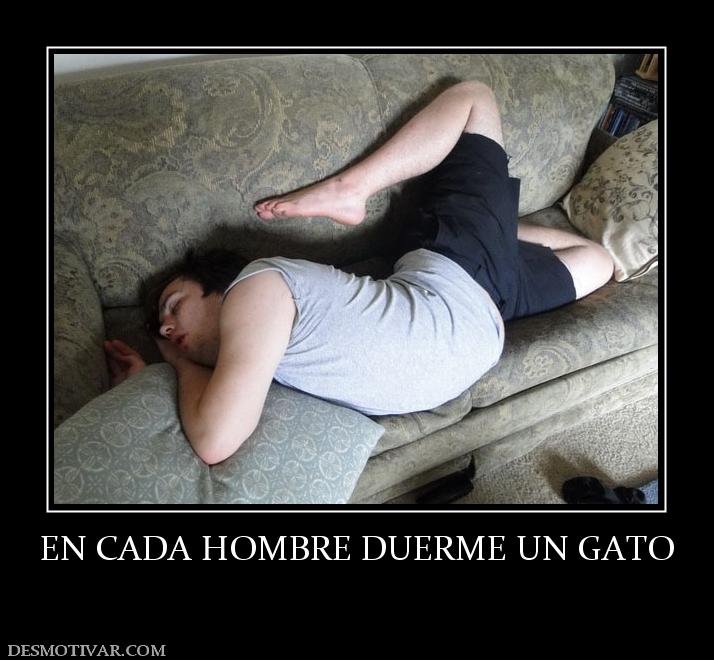 EN CADA HOMBRE DUERME UN GATO