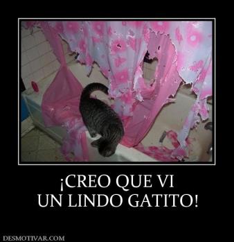 ¡CREO QUE VI UN LINDO GATITO!