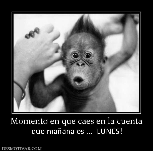 Momento en que caes en la cuenta que mañana es ...  LUNES!