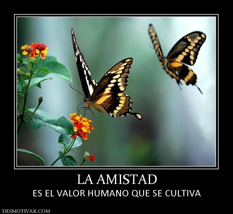 LA AMISTAD ES EL VALOR HUMANO QUE SE CULTIVA