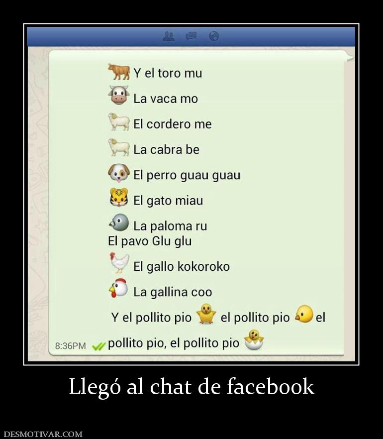 Llegó al chat de facebook