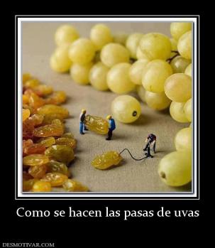 Como se hacen las pasas de uvas