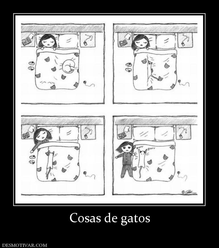 Cosas de gatos