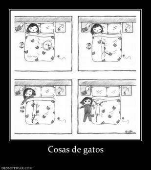 Cosas de gatos