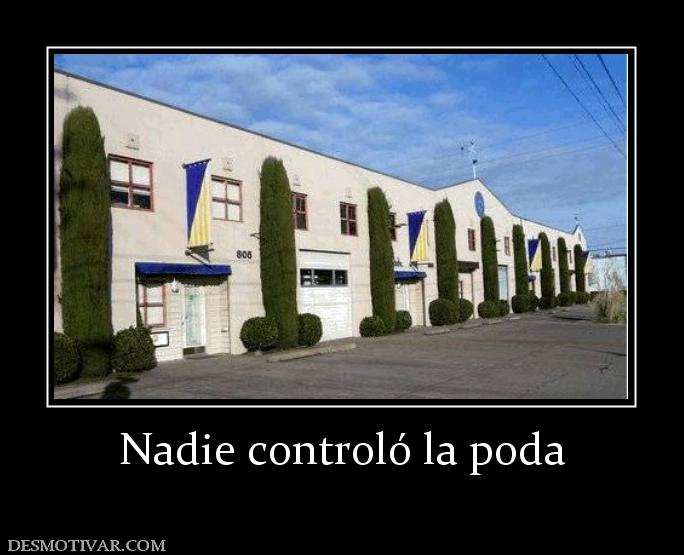 Nadie controló la poda