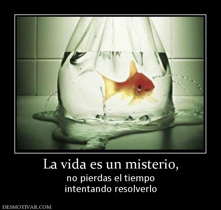 La vida es un misterio, no pierdas el tiempo intentando resolverlo