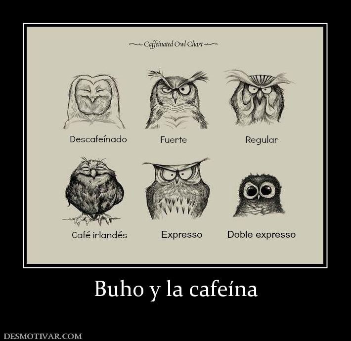 Buho y la cafeína