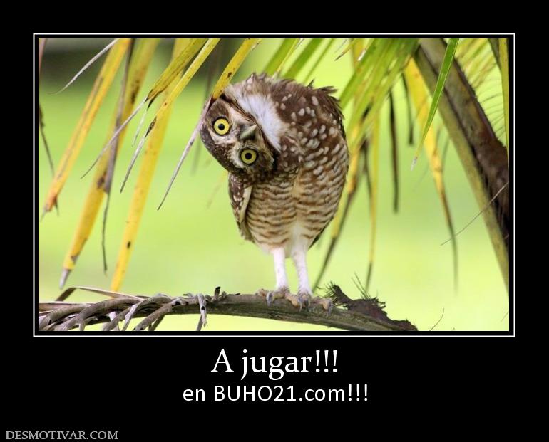 A jugar!!! en BUHO21.com!!!