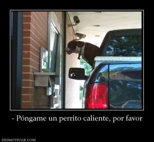 - Póngame un perrito caliente, por fav