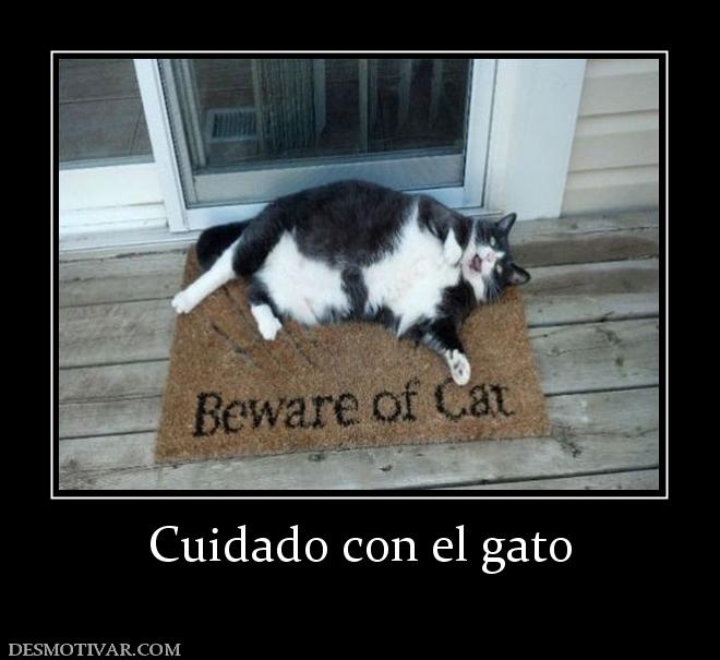 Cuidado con el gato