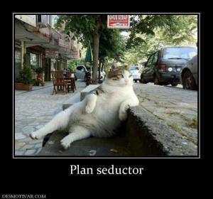 Plan seductor