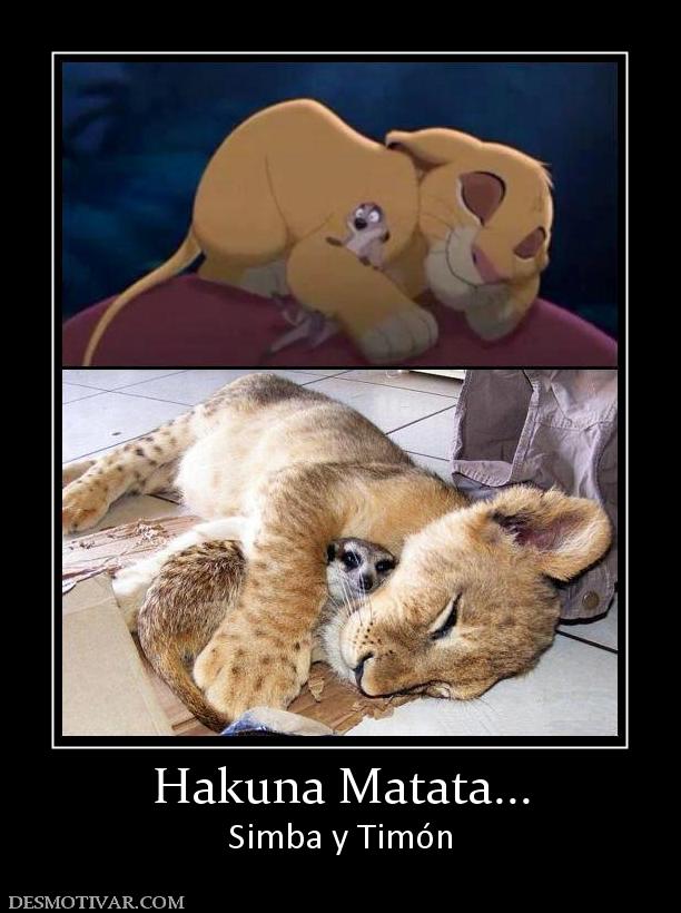 Hakuna Matata... Simba y Timón