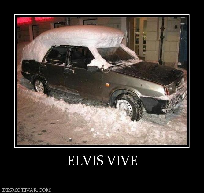 ELVIS VIVE