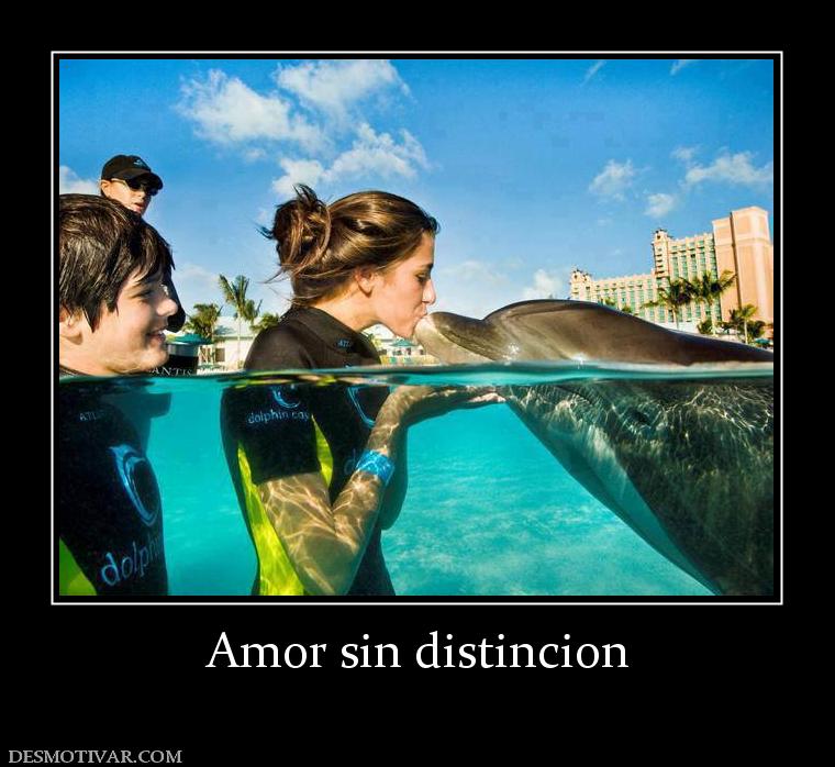 Amor sin distincion