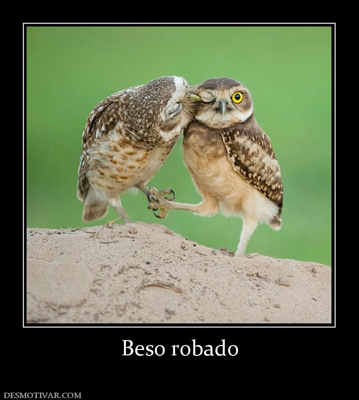 Beso robado