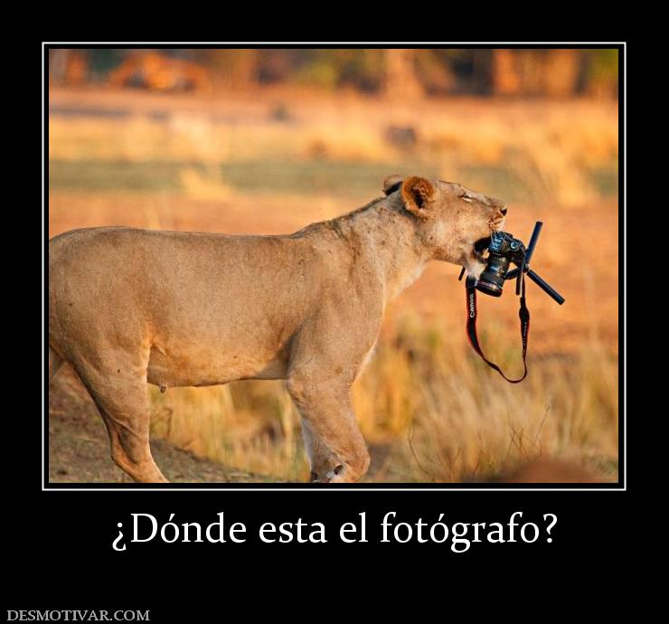 ¿Dónde esta el fotógrafo?