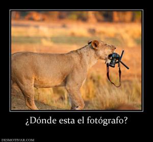 ¿Dónde esta el fotógrafo?