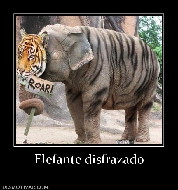 Elefante disfrazado