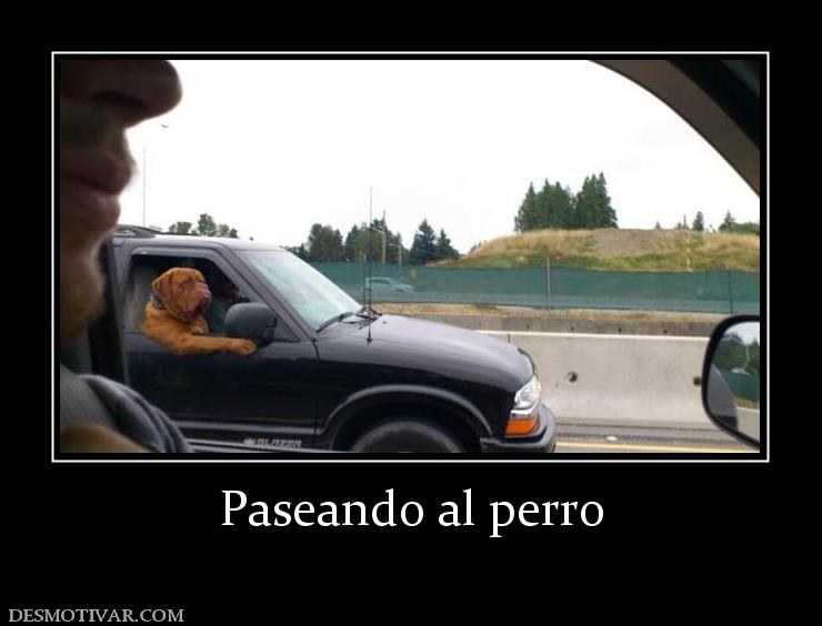 Paseando al perro