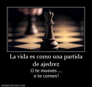 La vida es como una partida de ajedrez O te mueves ... o te comen!