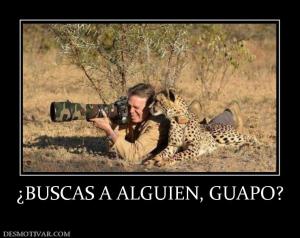 ¿BUSCAS A ALGUIEN, GUAPO?