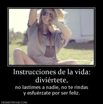 Instrucciones de la vida: diviértete, no lastimes a nadie, no te rindas y esfuérzate por ser feliz.