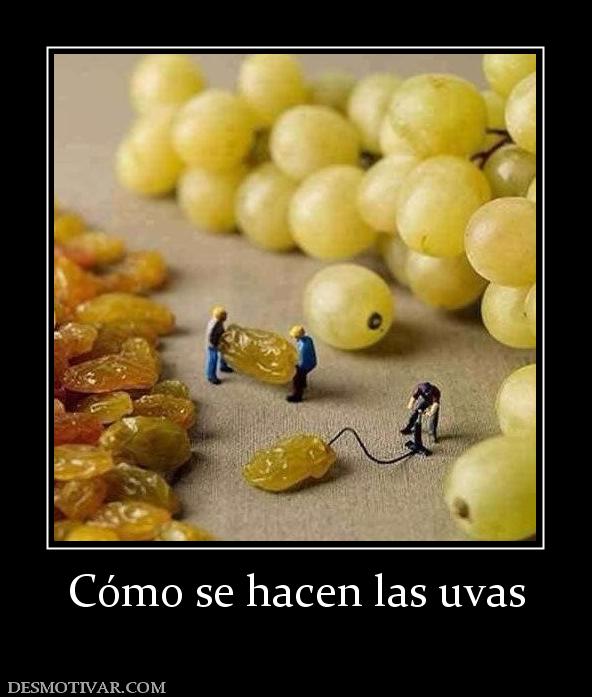 Cómo se hacen las uvas