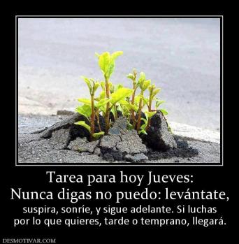 Tarea para hoy Jueves: Nunca digas no puedo: levántate, suspira, sonríe, y sigue adelante. Si luchas por lo que quieres, tarde o temprano, llegará.