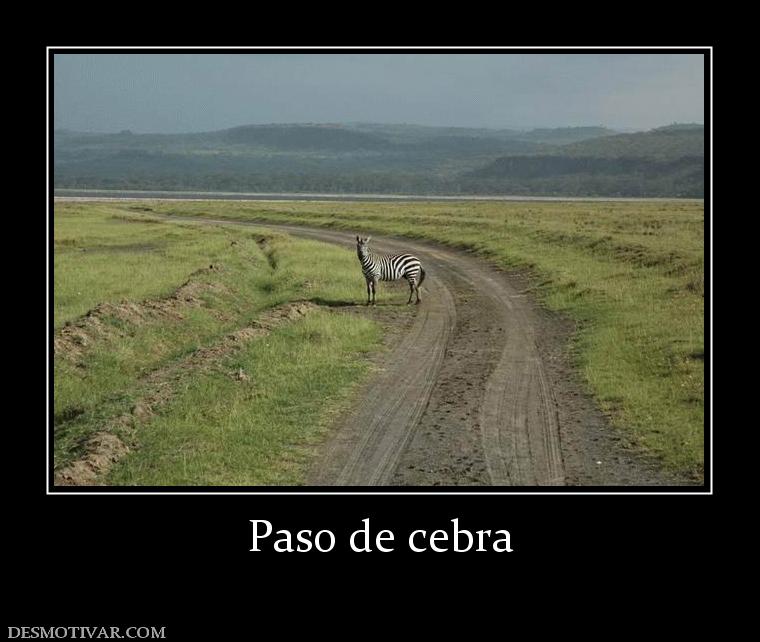 Paso de cebra