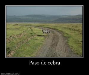 Paso de cebra