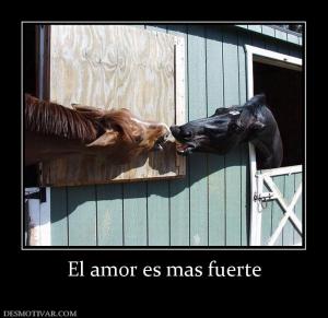 El amor es mas fuerte