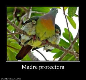 Madre protectora