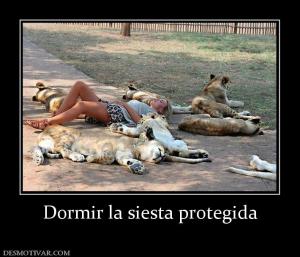 Dormir la siesta protegida