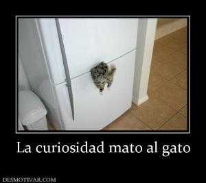 La curiosidad mato al gato