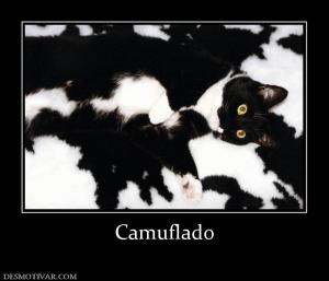 Camuflado