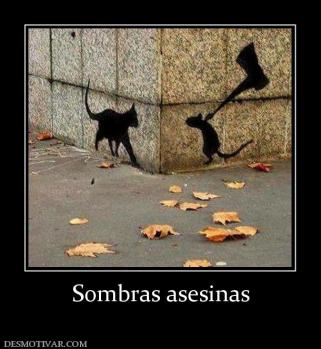 Sombras asesinas