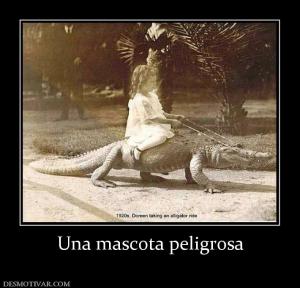 Una mascota peligrosa