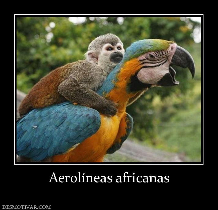 Aerolíneas africanas