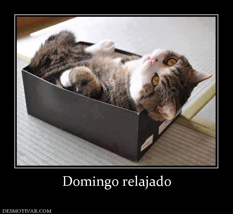 Domingo relajado