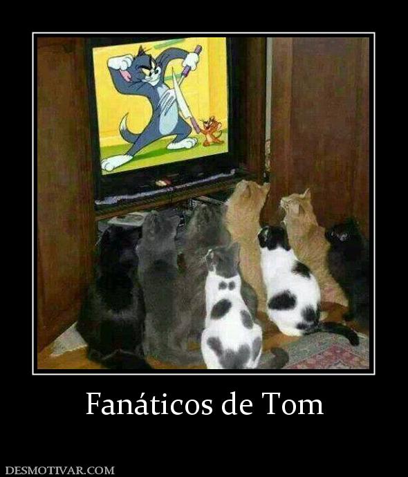 Fanáticos de Tom