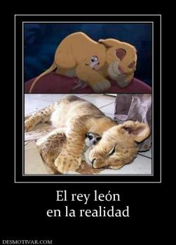 El rey león en la realidad