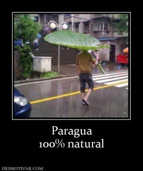 Paragua 100% natural