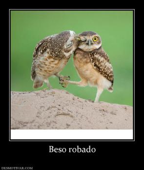 Beso robado