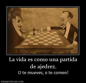 La vida es como una partida de ajedrez. O te mueves, o te comen!