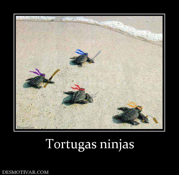 Tortugas ninjas