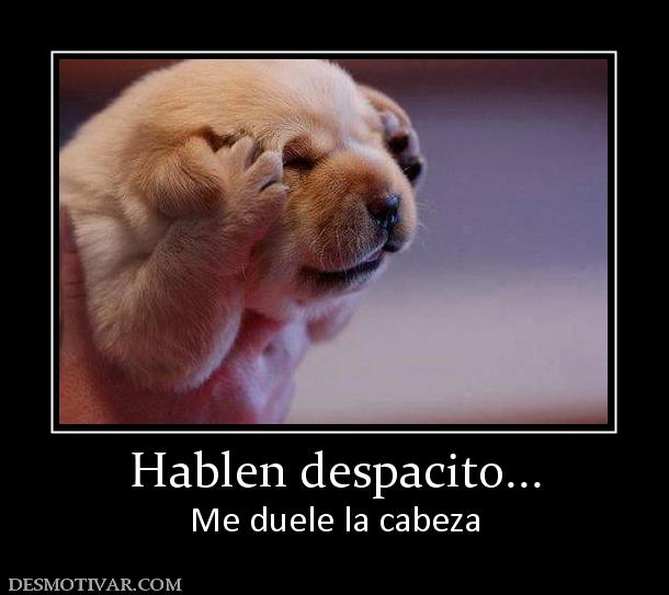 Hablen despacito... Me duele la cabeza